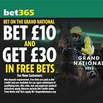 grand national online bet